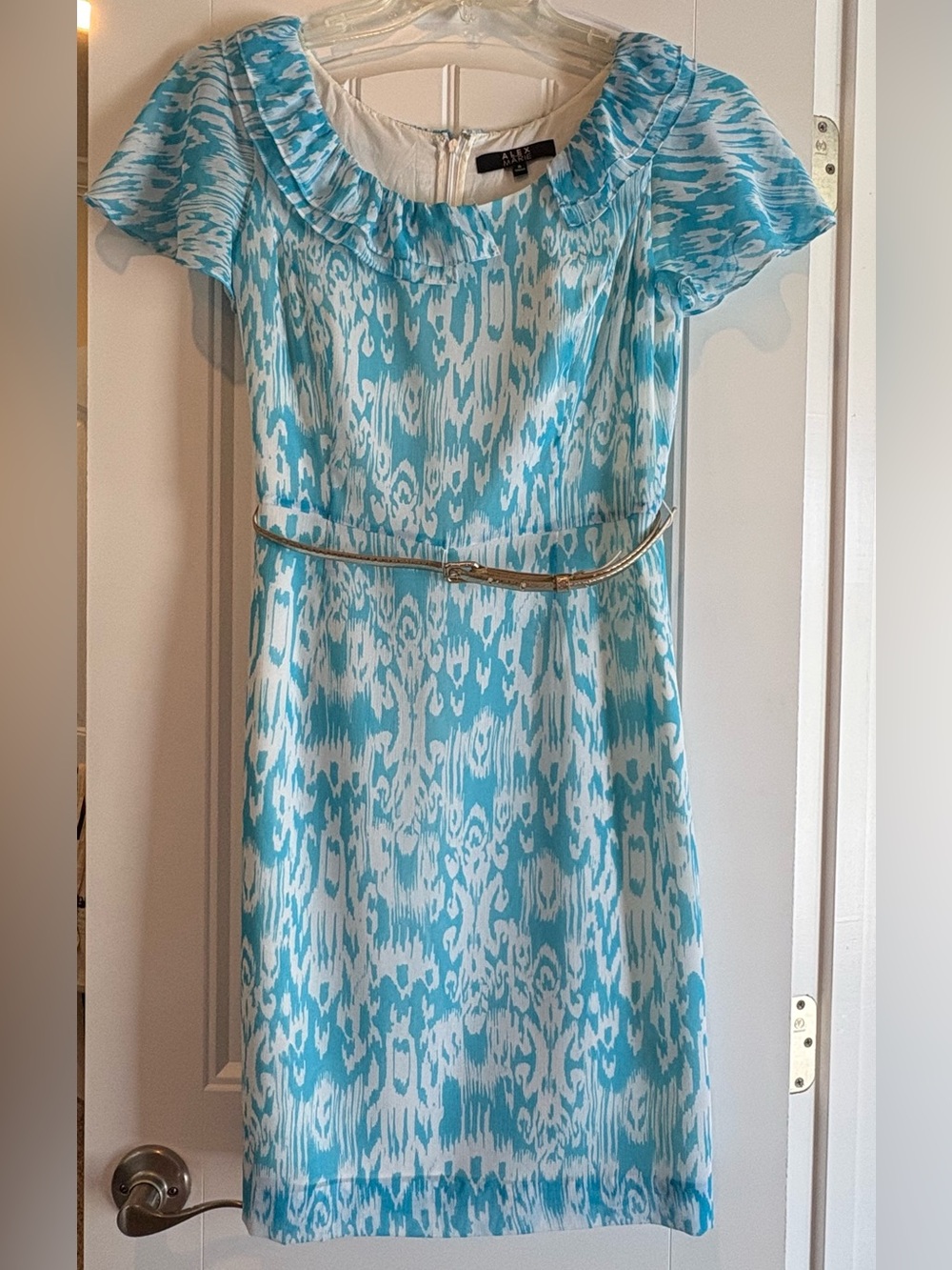Alex Marie Blue and White Ikat Chiffon Dress